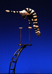 Alice au pays des merveilles - Christian Boissel